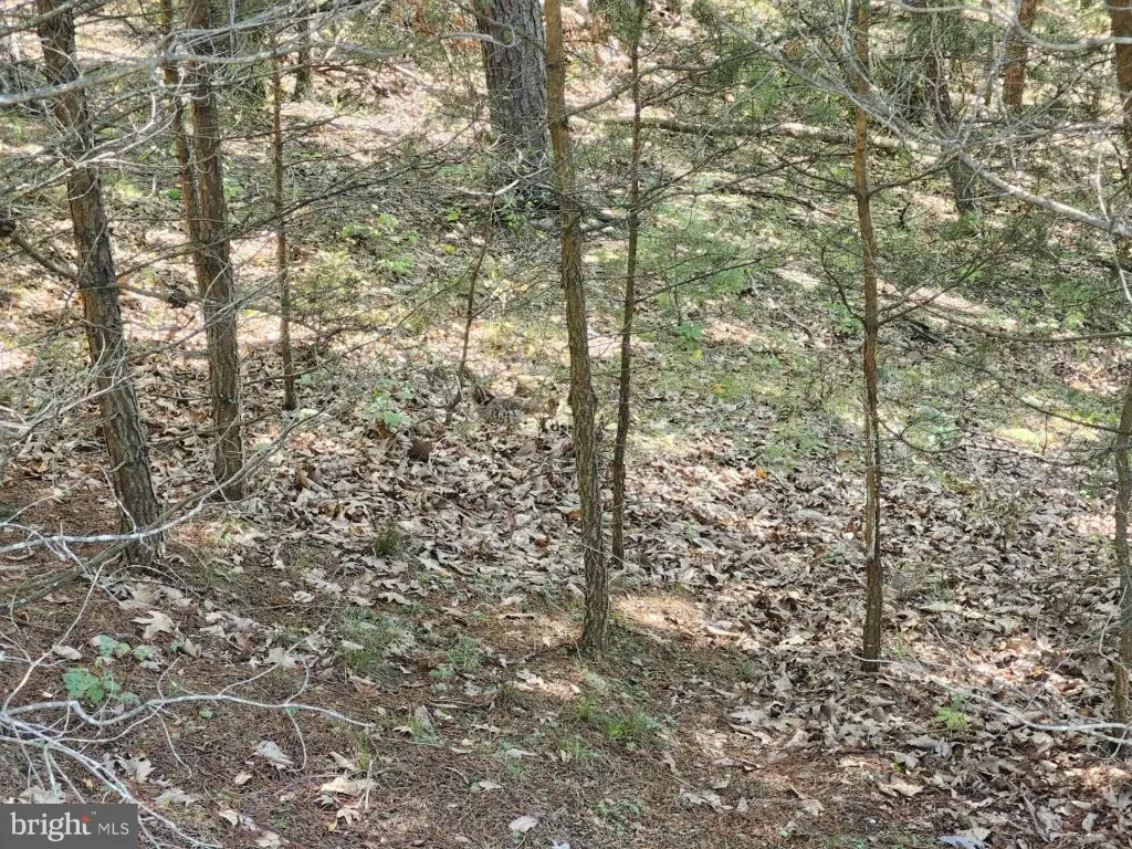 Picture 38