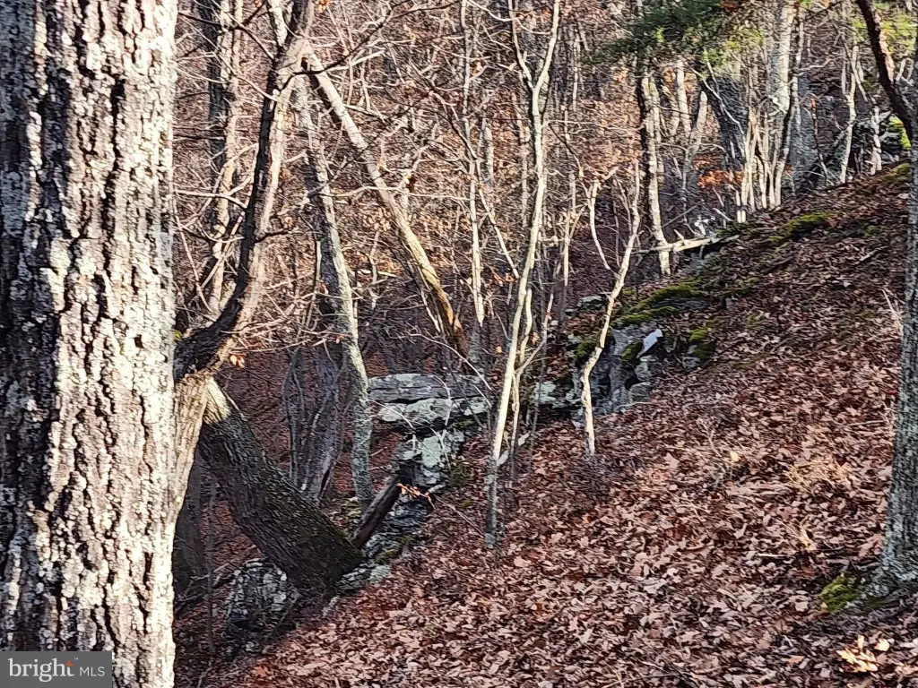 Picture 21
