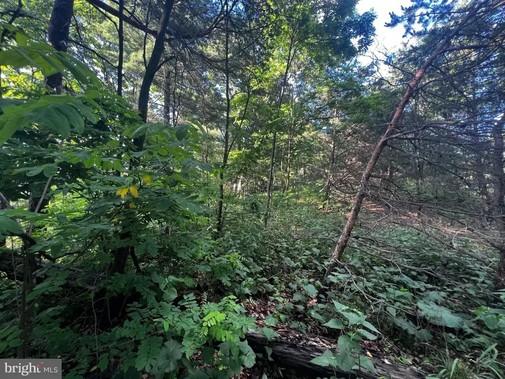 Picture 6