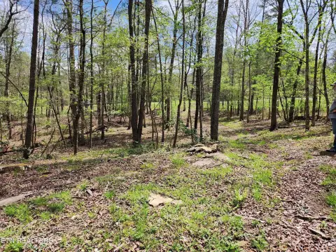 Residential Land in Crossville, TN