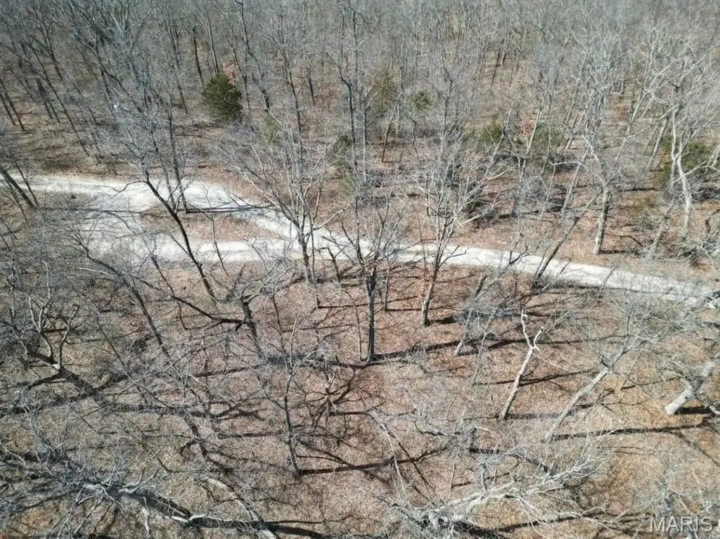 Picture 11