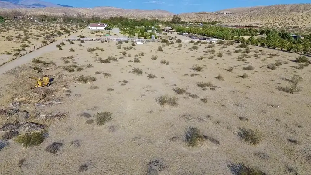 Picture 3