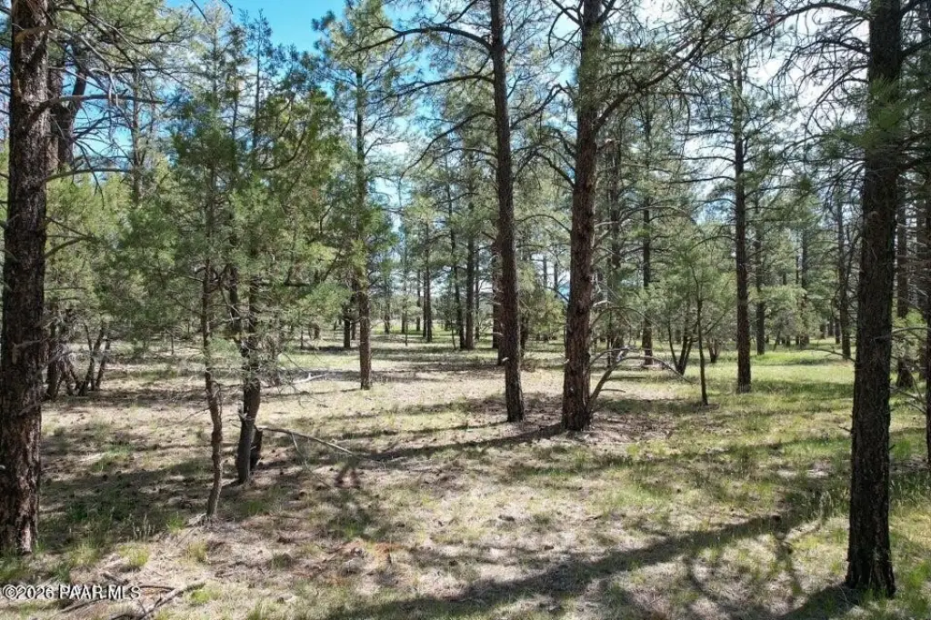 Picture 4