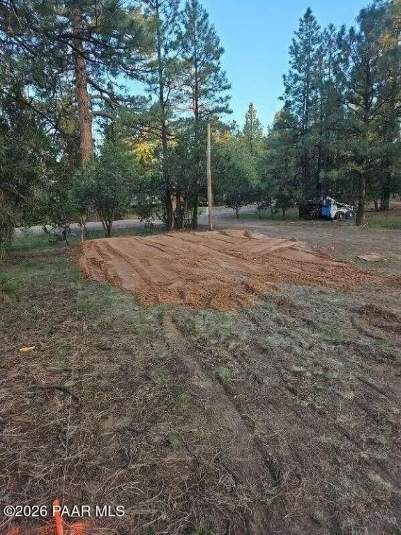 Picture 3
