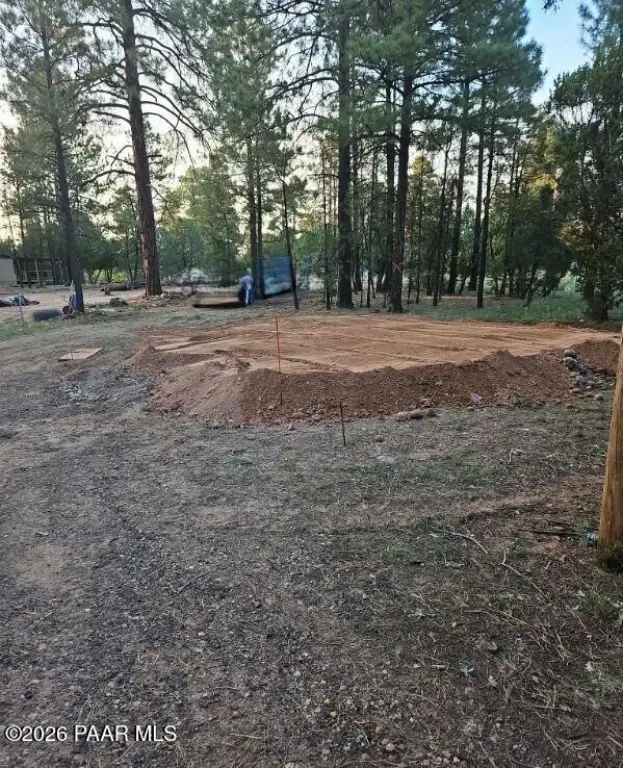Picture 5