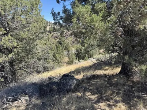 Sloped Residential Lot Near Lost Lake