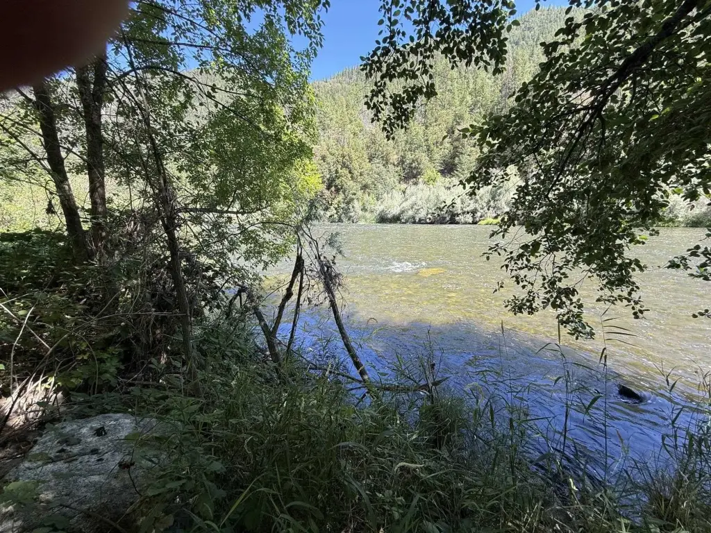 Picture 2