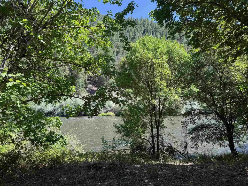 Picture 18