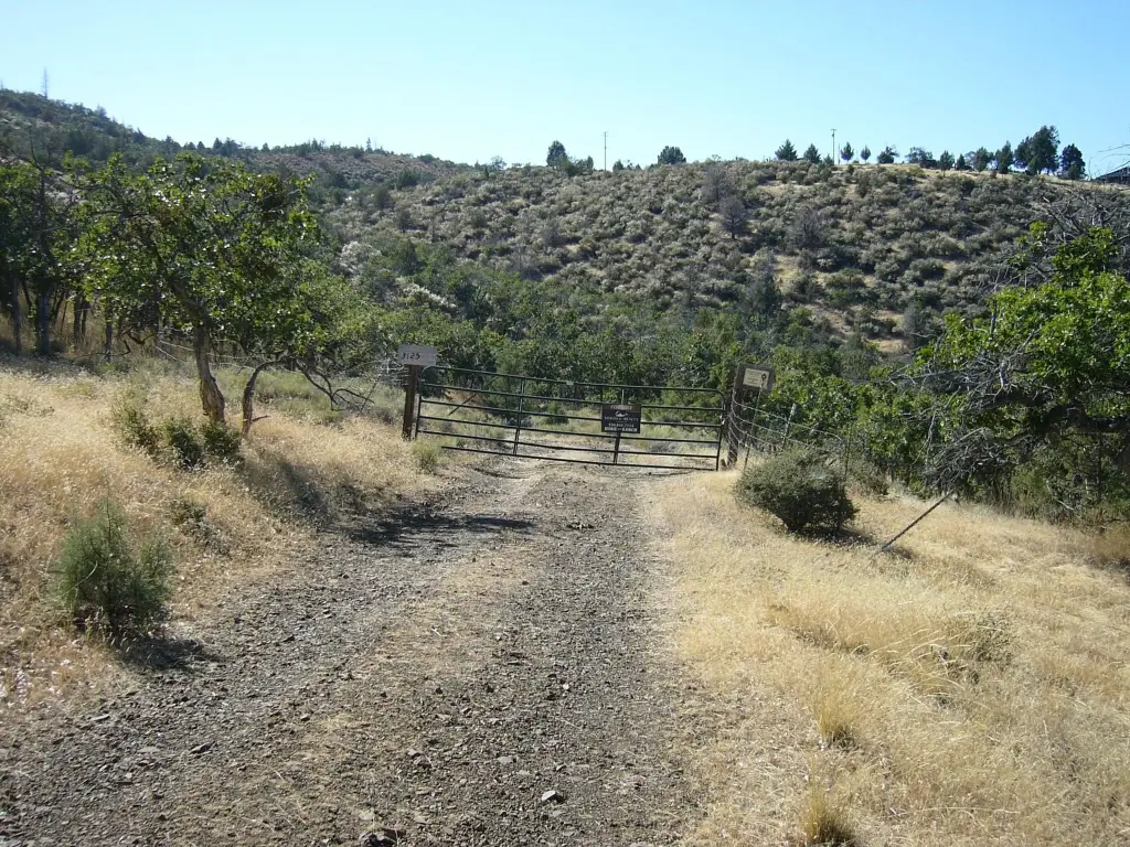 Picture 34