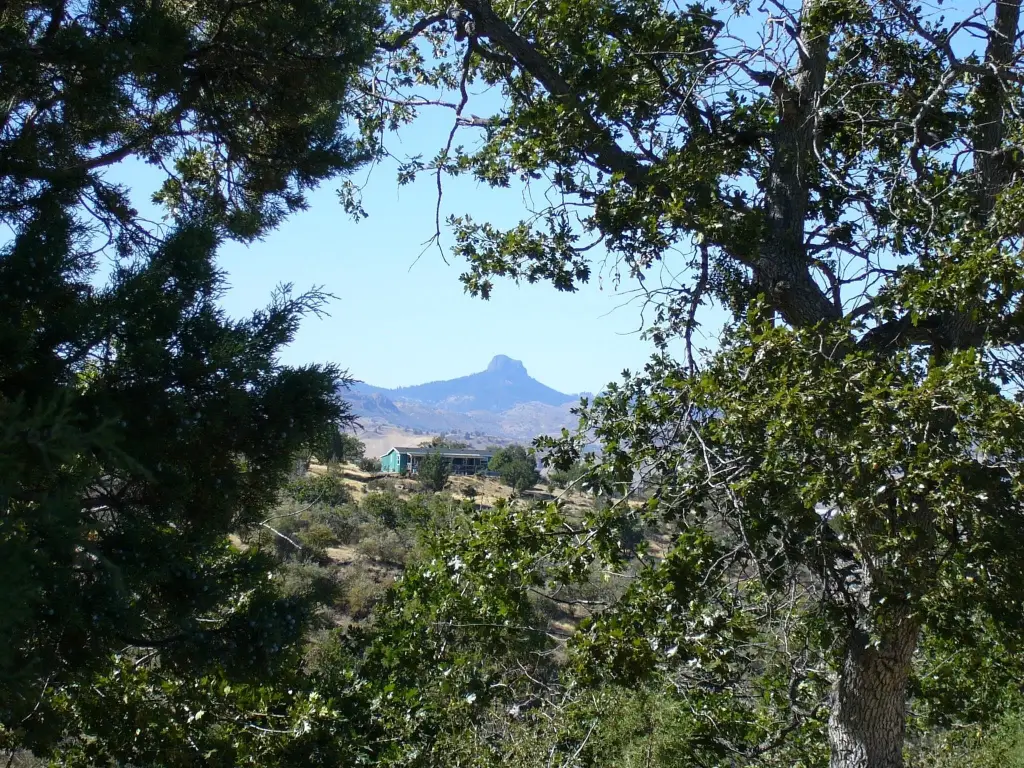 Picture 9