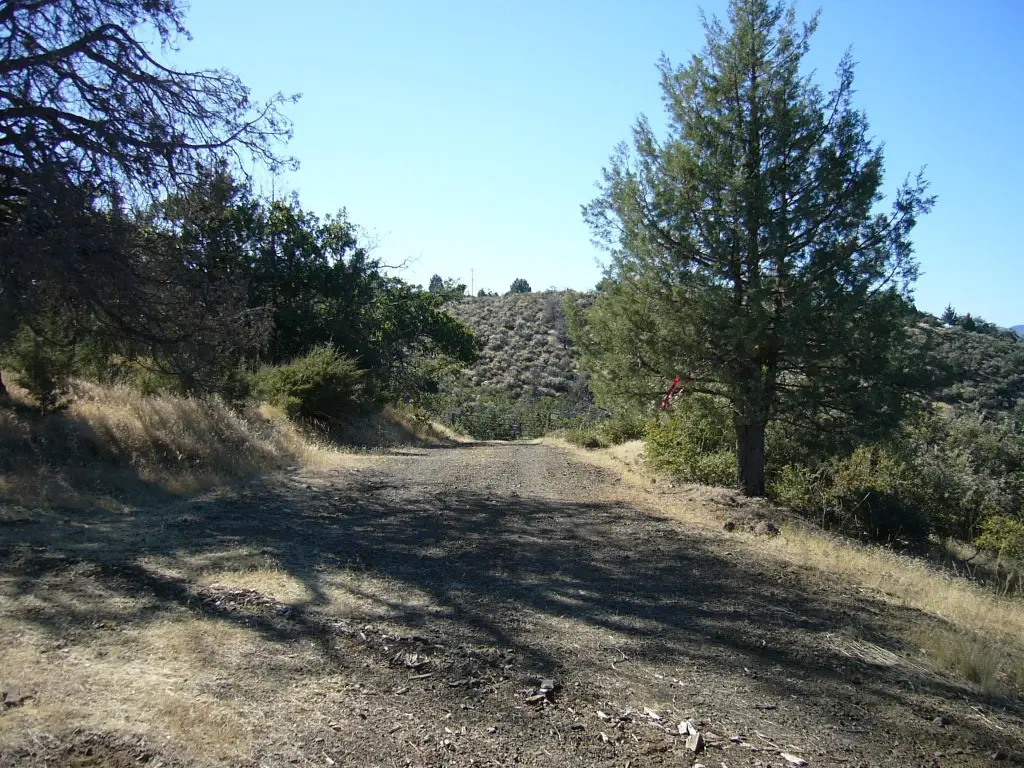 Picture 35