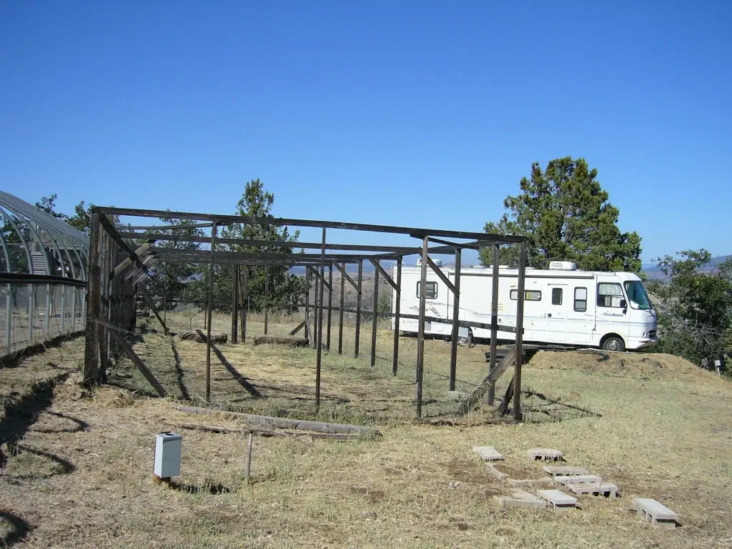 Picture 17