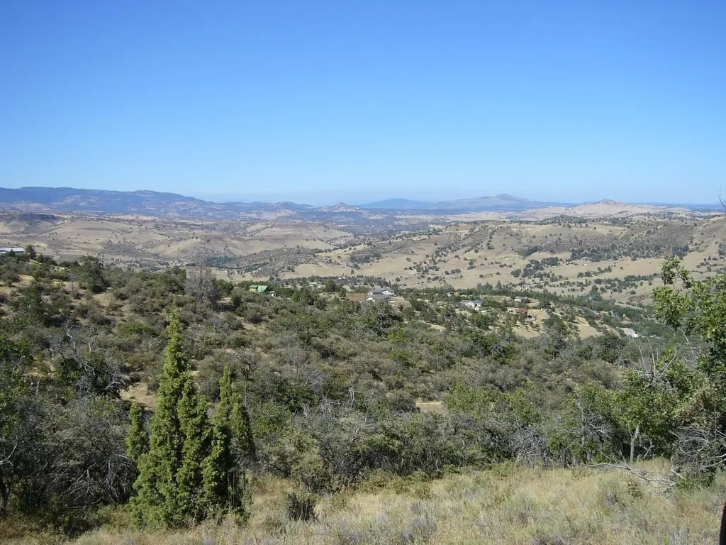 Picture 28