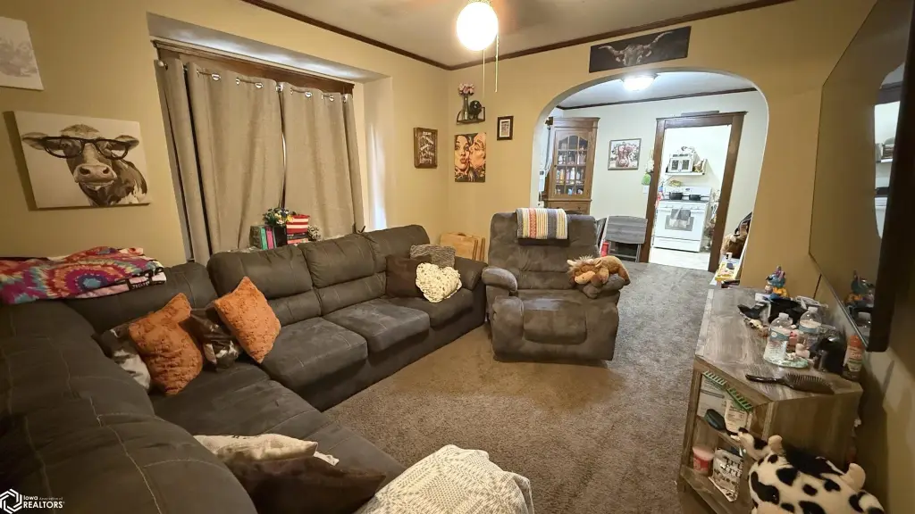 Picture 3