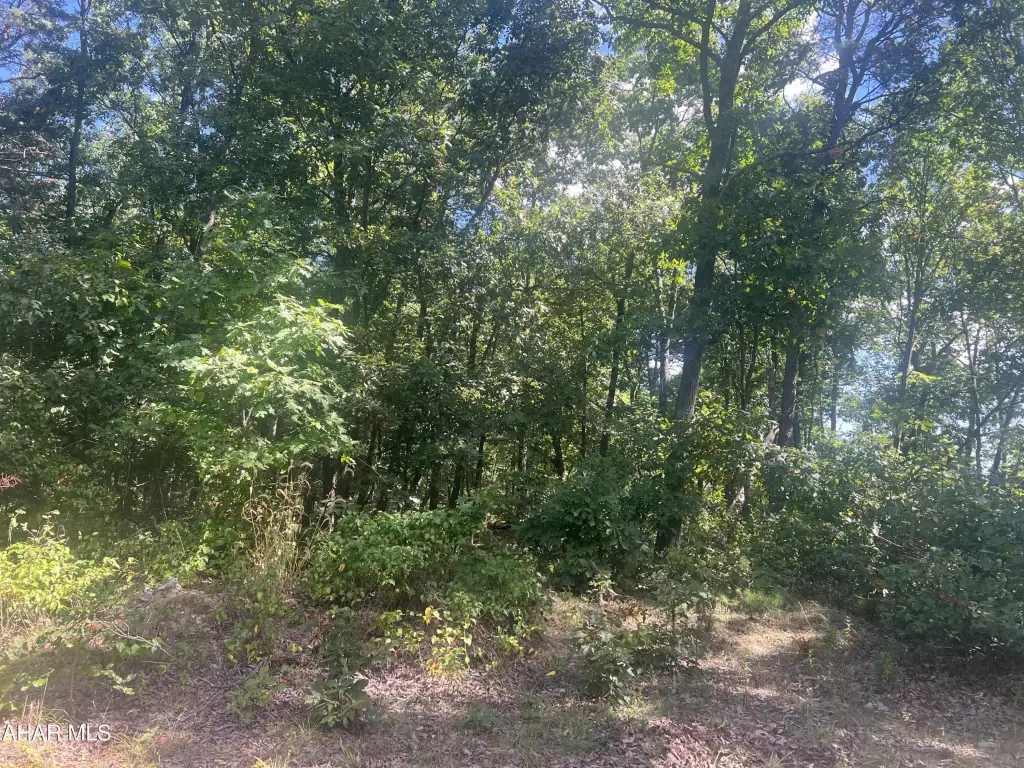 Picture 6