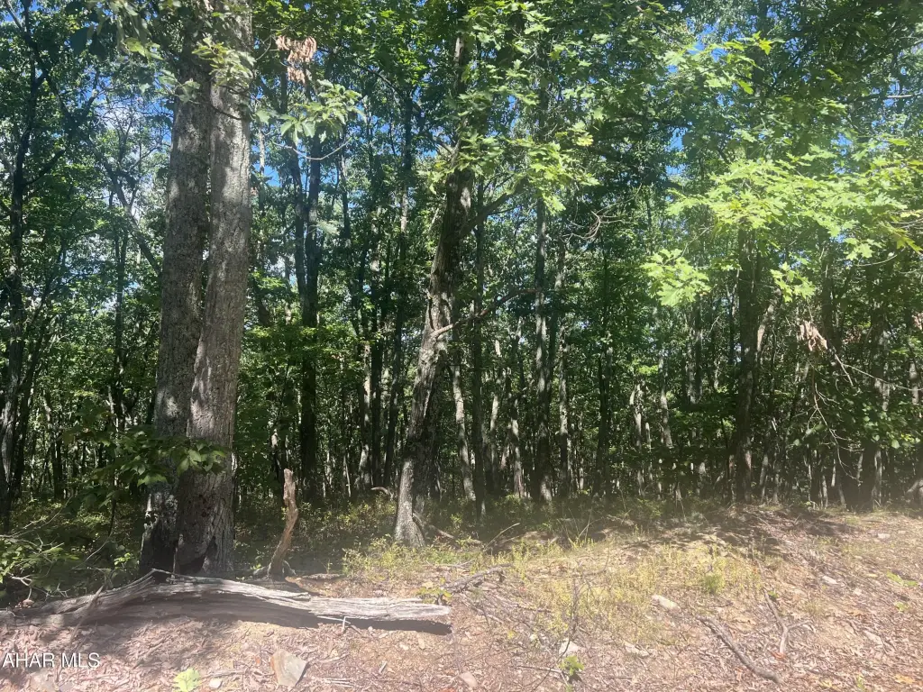Picture 5