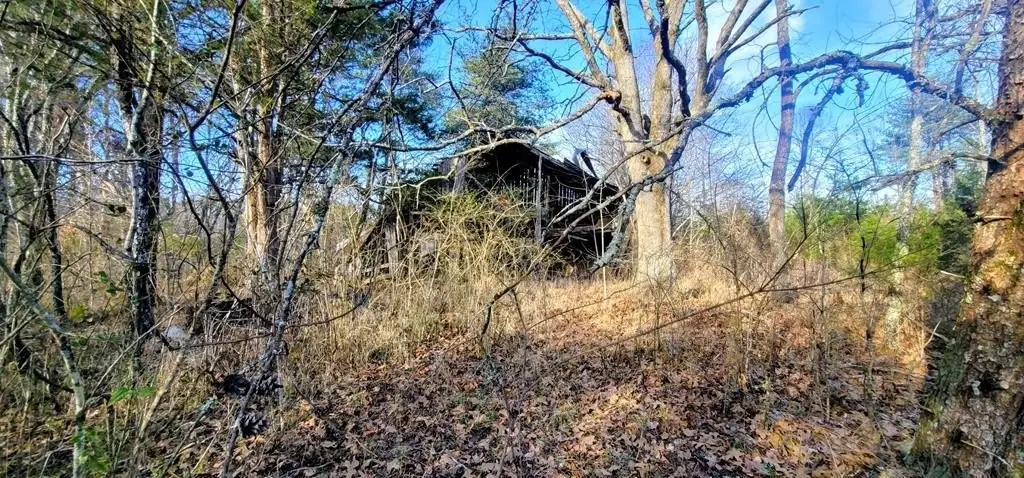 Picture 13