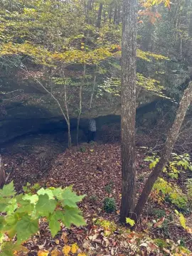 Wooded Land with Rock Outcroppings