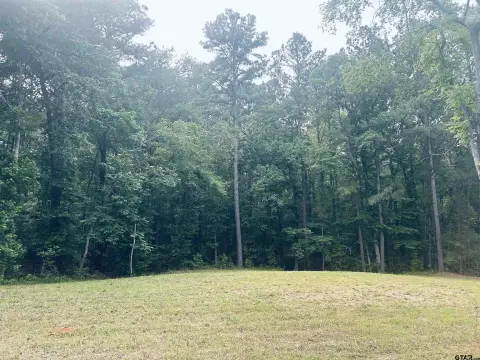 Residential Lot in Troup, TX