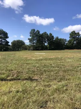 Residential Land in Naples, TX