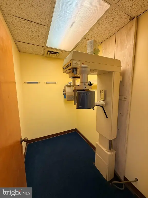 Picture 17