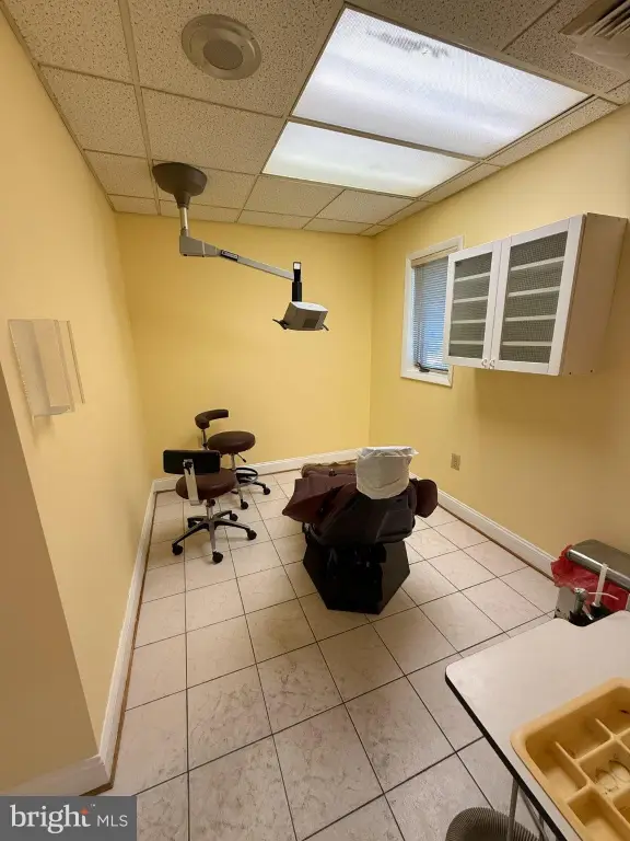 Picture 15