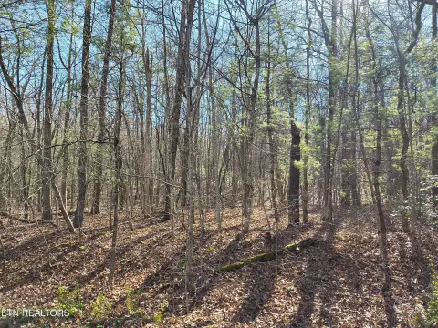 Vacant Lot in Fairfield Glade
