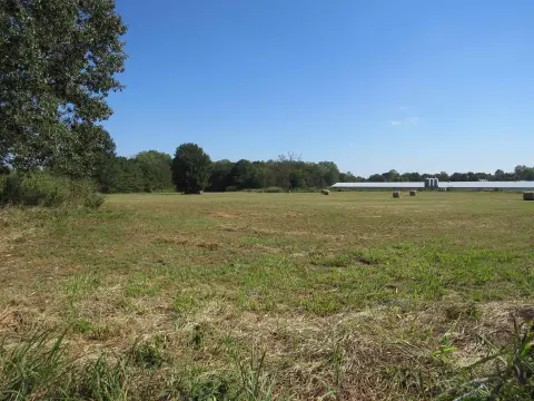 Russellville Farm Land For Sale