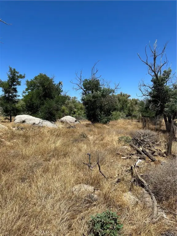 Picture 25