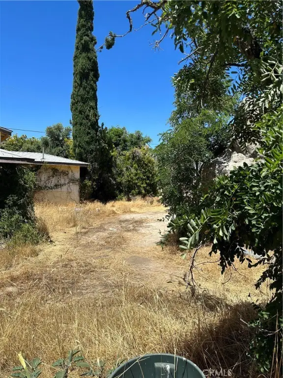 Picture 24