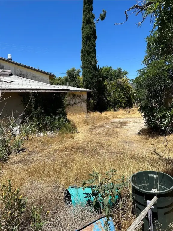 Picture 19