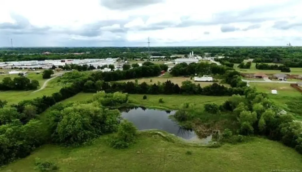 Picture 13