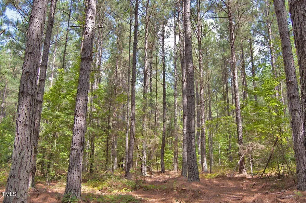 Picture 30