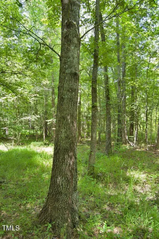 Picture 48