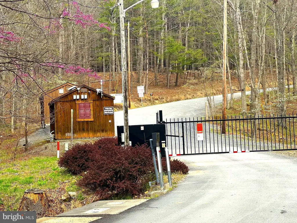 Picture 41