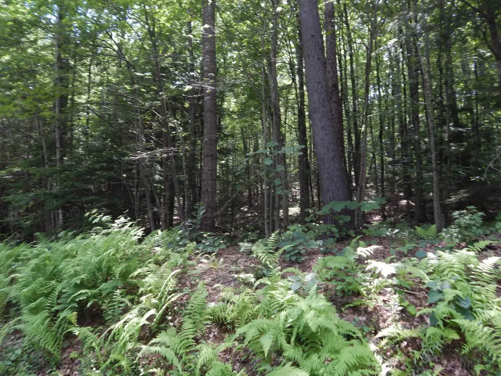 Picture 4