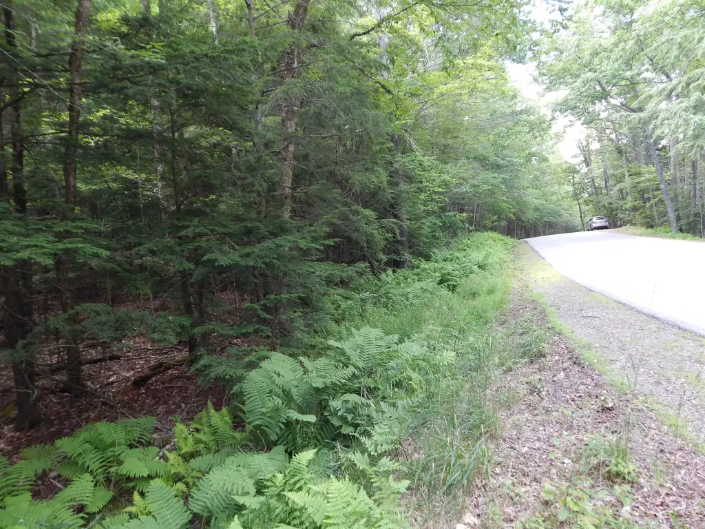 Picture 6