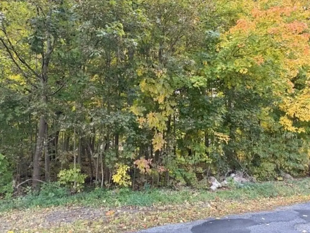 Picture 22
