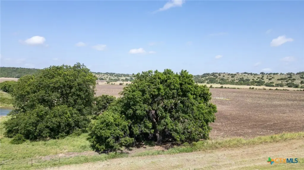 Picture 25