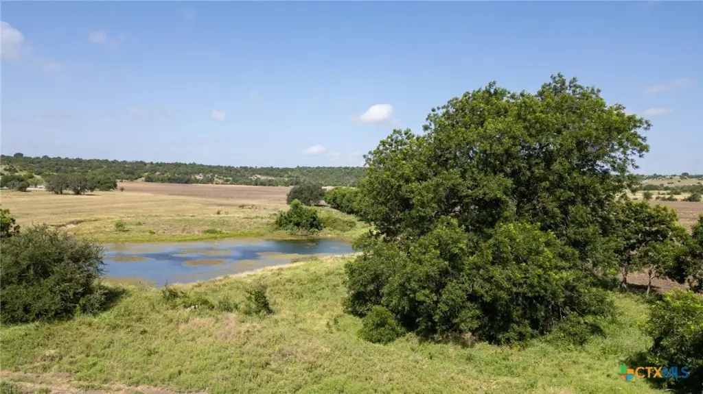 Picture 24