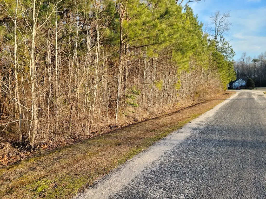 Picture 4