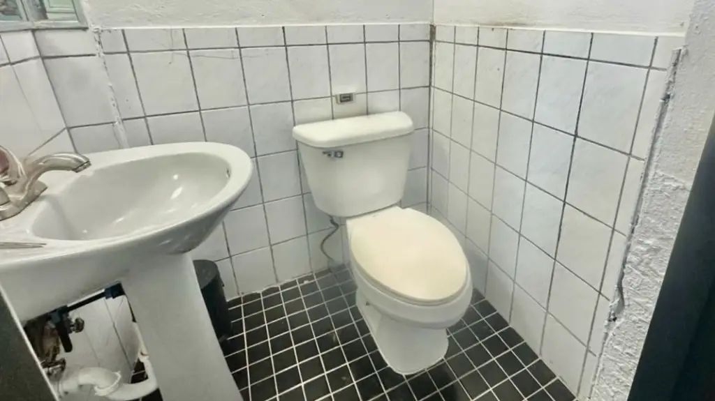 Picture 16