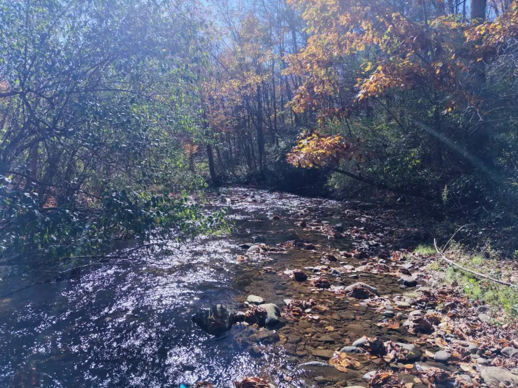 Picture 31