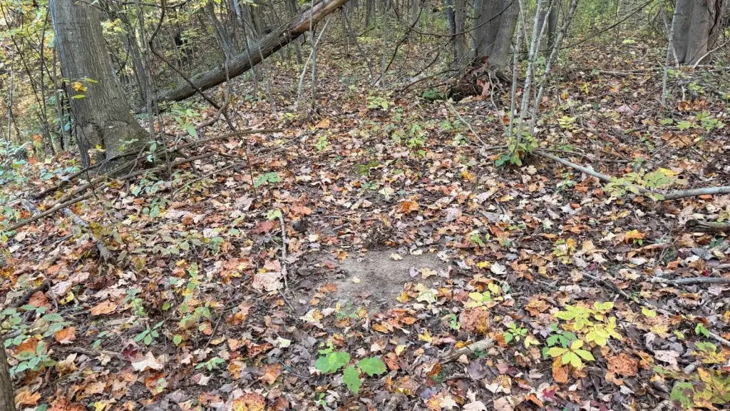 Picture 43