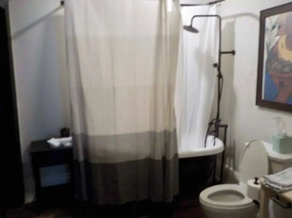 Picture 18