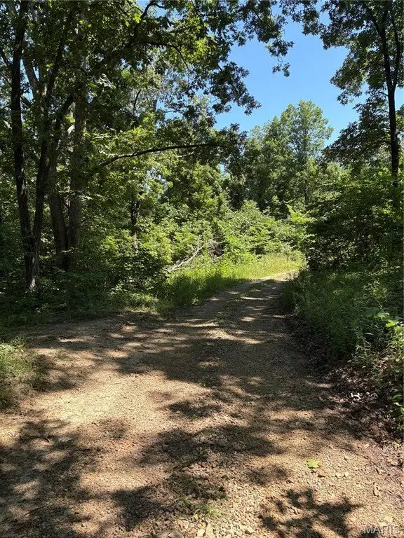 Picture 2