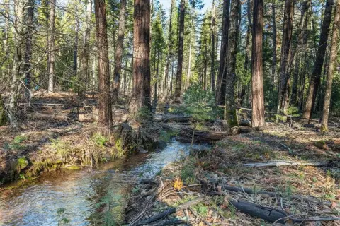 Shingletown Acreage with Creek