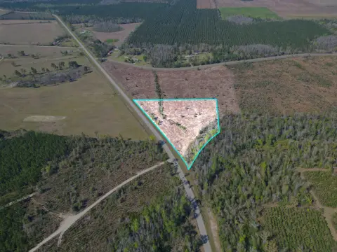 Residential Lot in Blountstown, FL