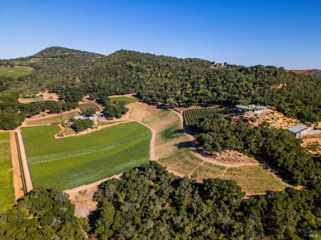 Picture 31
