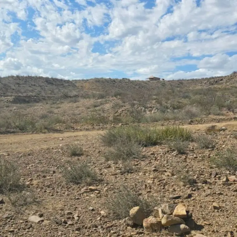 Picture 5